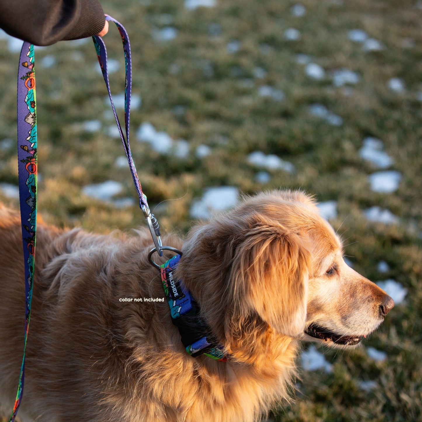 National Barkie Dog Leash with Traffic Handle - 6 Ft Rust Proof Adventure Leash