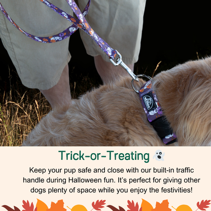 Best Hands-Free Leash with Traffic Handle