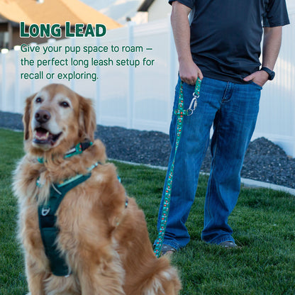 Dino Christmas Hands-Free Body Leash for Dogs — Lightweight, Adventure-Proof & Adjustable Holiday Dog Leash