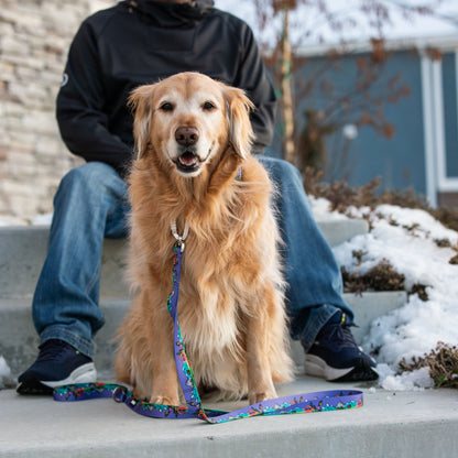National Barkie Dog Leash with Traffic Handle - 6 Ft Rust Proof Adventure Leash
