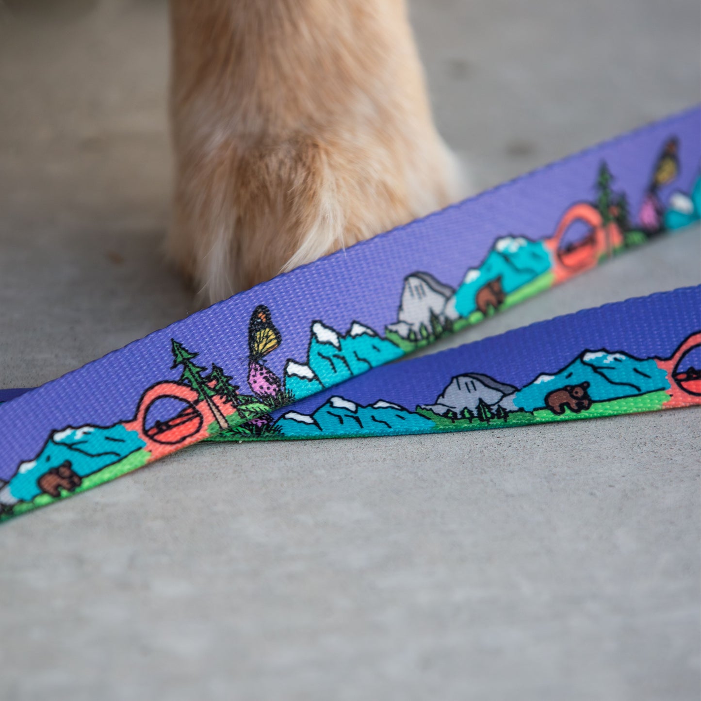 National Barkie Dog Leash with Traffic Handle - 6 Ft Rust Proof Adventure Leash