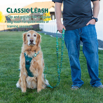 Dino Christmas Hands-Free Body Leash for Dogs — Lightweight, Adventure-Proof & Adjustable Holiday Dog Leash