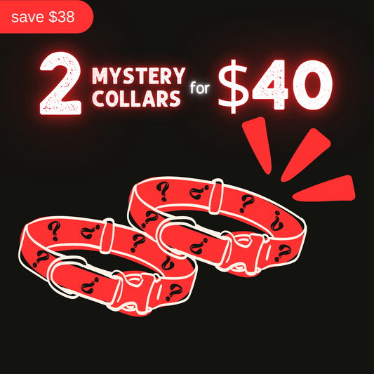 Mystery Collars – 2 for $40 (Reg. $78)