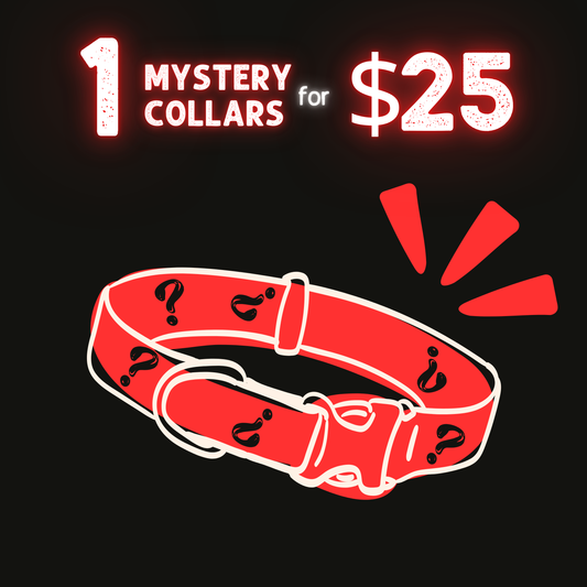 Mystery Collar – $25 (Reg. $39)