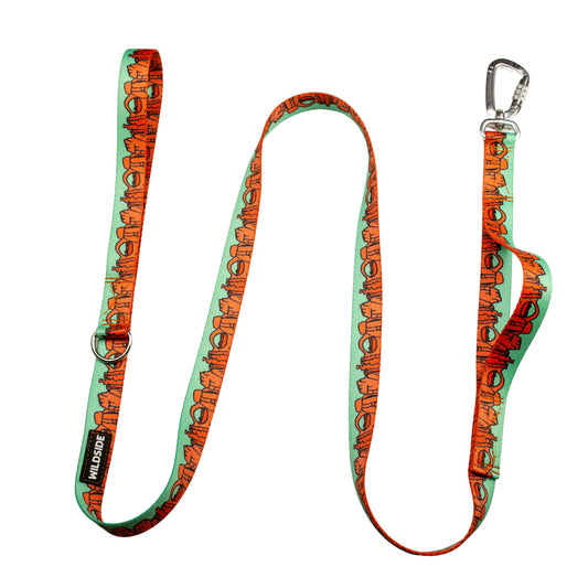 We Love Utah Dog Leash with Traffic Handle (mint)- 6 Ft Rust Proof Adventure Leash