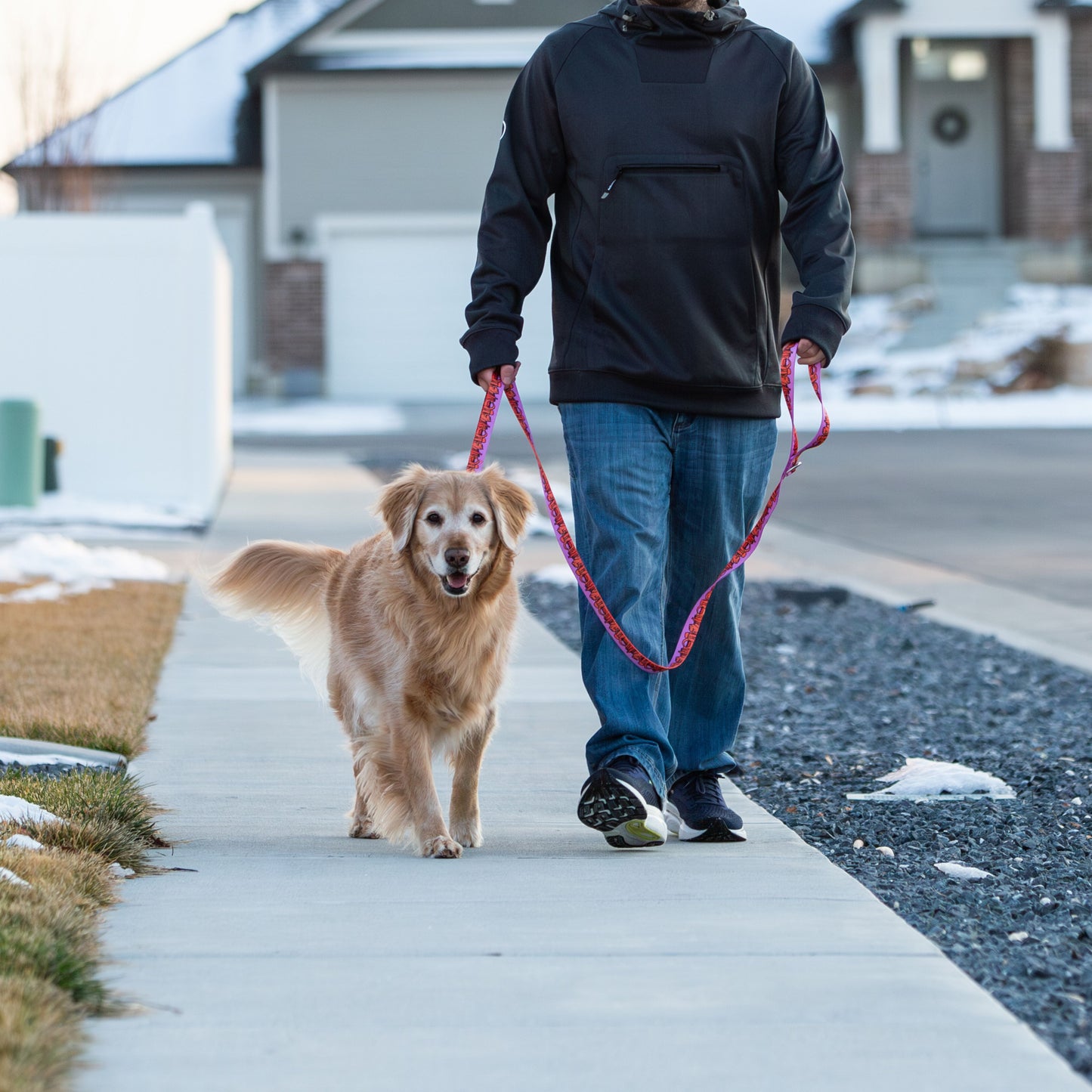 We Love Utah Dog Leash with Traffic Handle (lilac)- 6 Ft Rust Proof Adventure Leash