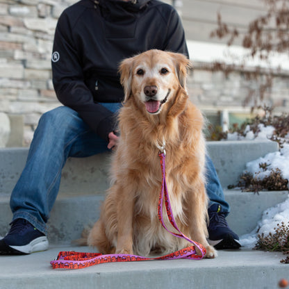 We Love Utah Dog Leash with Traffic Handle (lilac)- 6 Ft Rust Proof Adventure Leash