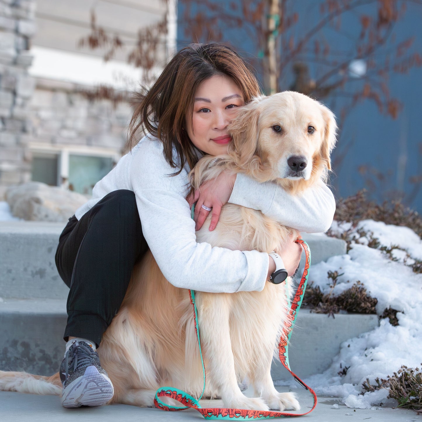 We Love Utah Dog Leash with Traffic Handle (mint)- 6 Ft Rust Proof Adventure Leash