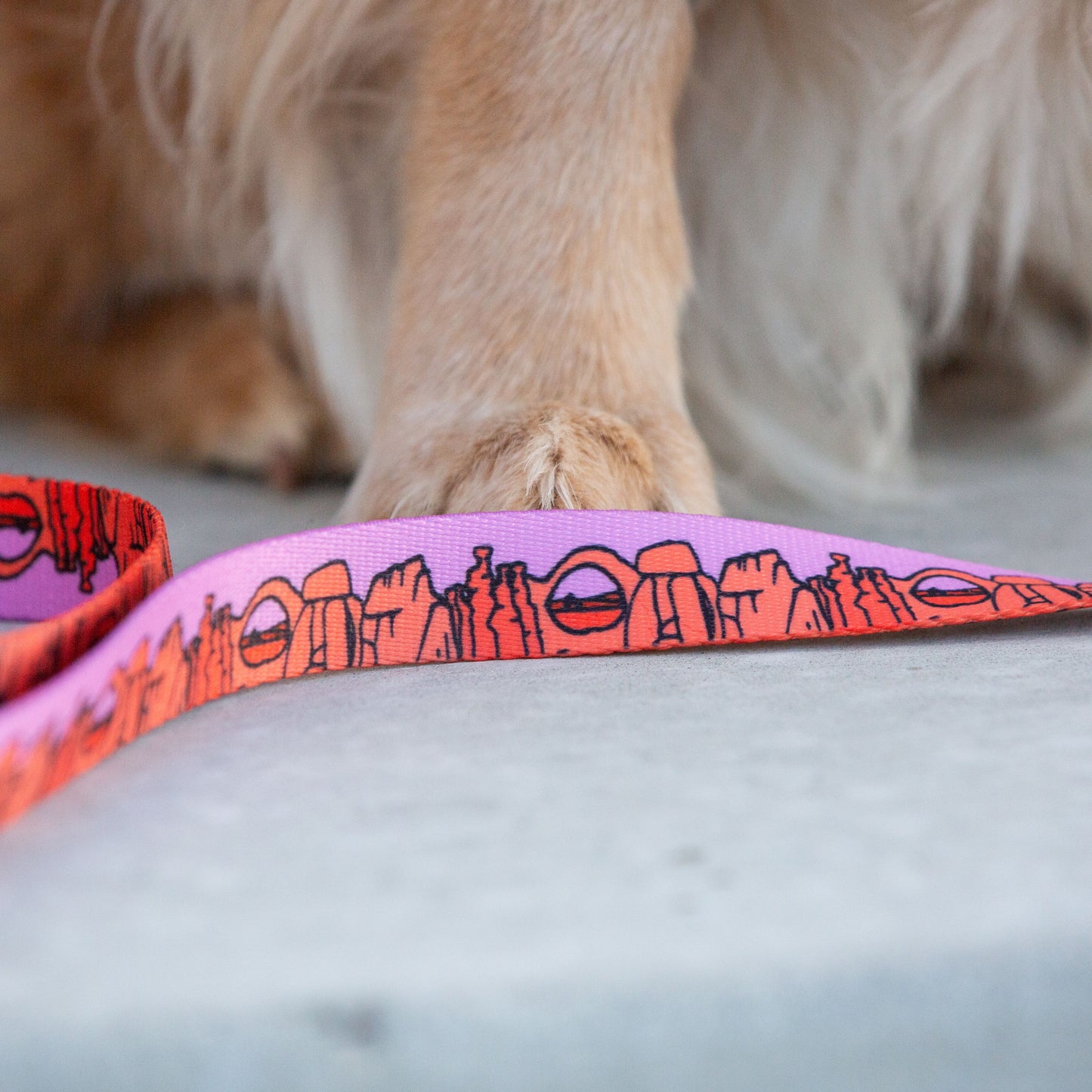 We Love Utah Dog Leash with Traffic Handle (lilac)- 6 Ft Rust Proof Adventure Leash