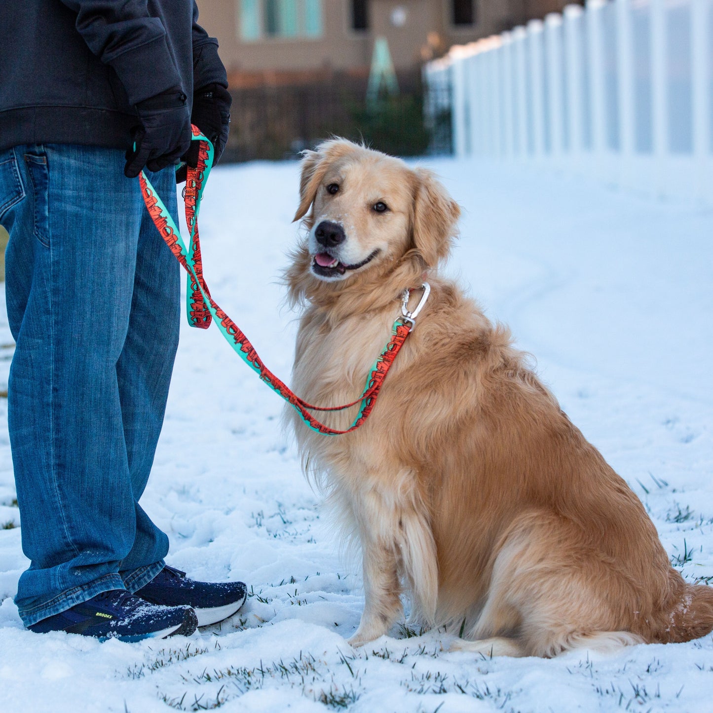We Love Utah Dog Leash with Traffic Handle (mint)- 6 Ft Rust Proof Adventure Leash