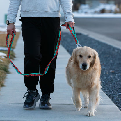 We Love Utah Dog Leash with Traffic Handle (mint)- 6 Ft Rust Proof Adventure Leash