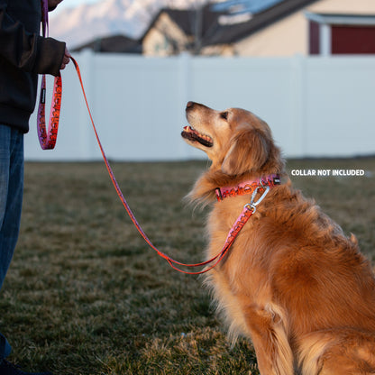 We Love Utah Dog Leash with Traffic Handle (lilac)- 6 Ft Rust Proof Adventure Leash