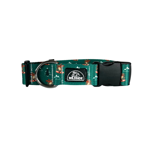 Chaco custom hot sale dog collar