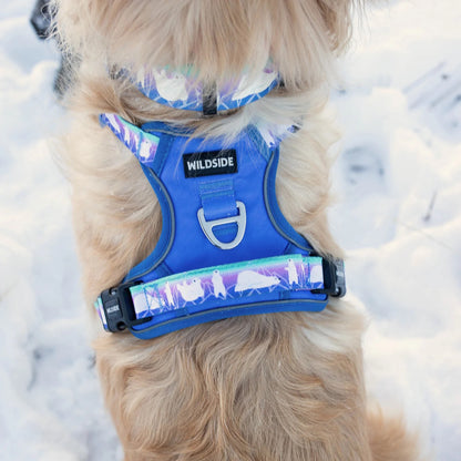Aurora Polar Bear Harness Collar and Leash Set | Adventure Walk Set