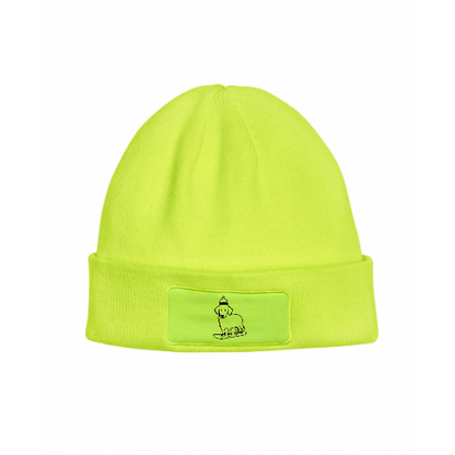 Snowboarding Puppy Beanie- only 1 left!