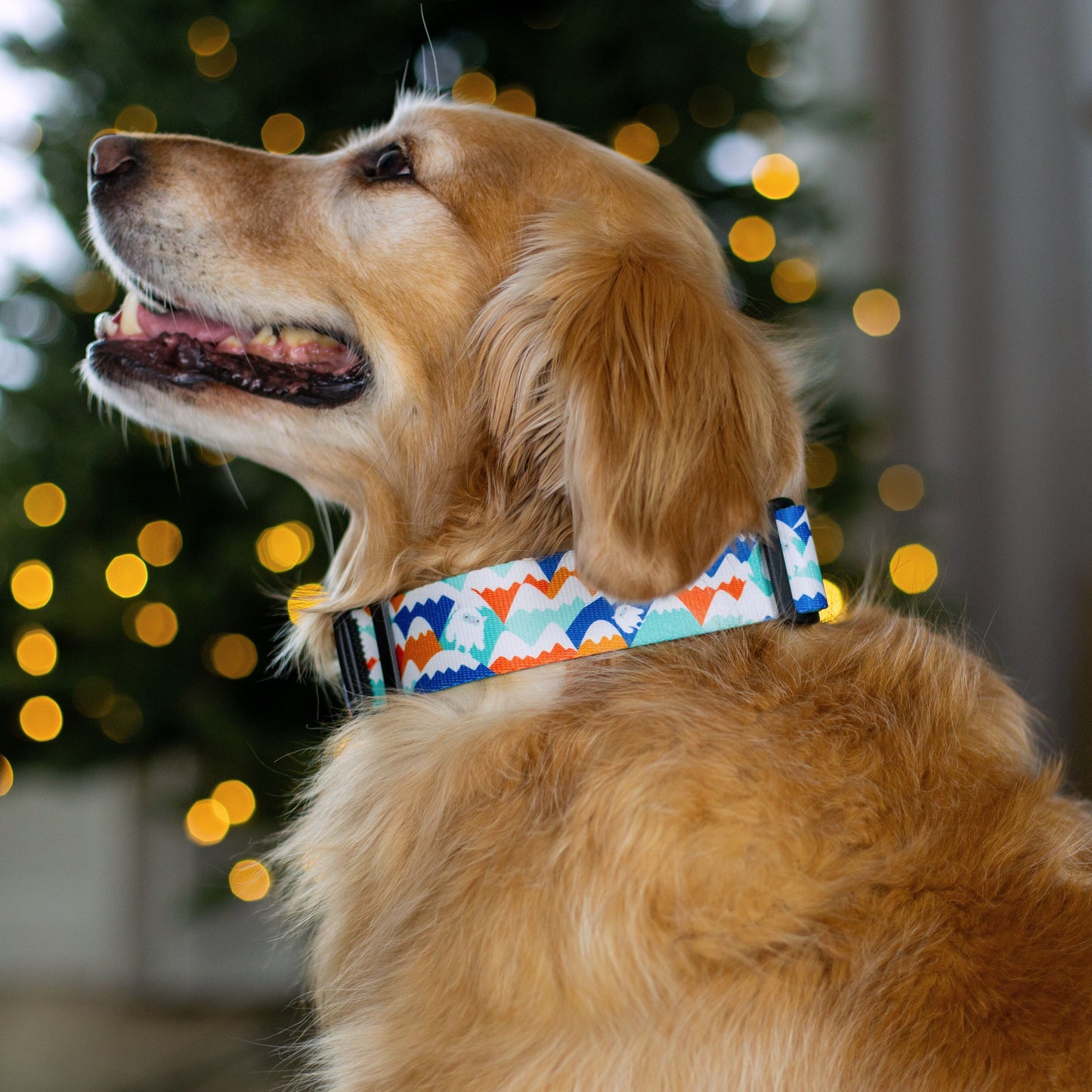 Yeti in the Alps (Blue Version) Rust Proof Dog Collar