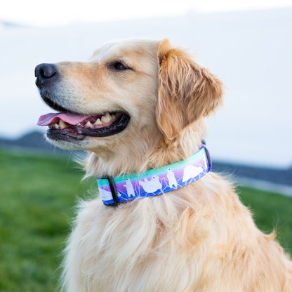 golden retriever dog wearing a polar bear dog collar with pink, mint and purple moutnains