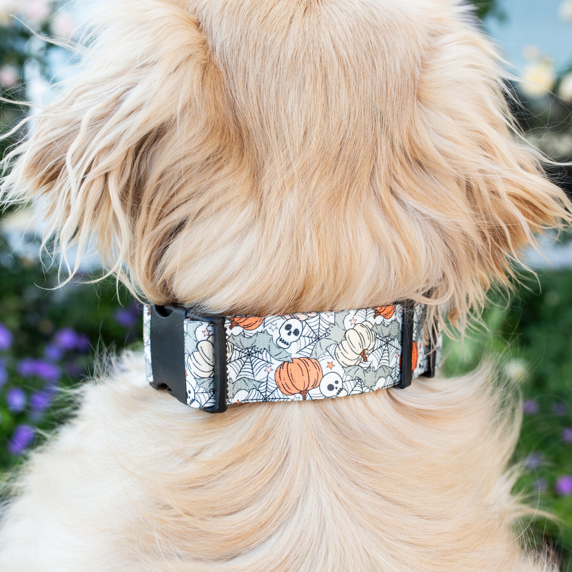 Adjustable spooky dog collar for hiking, swimming, and everyday wear
