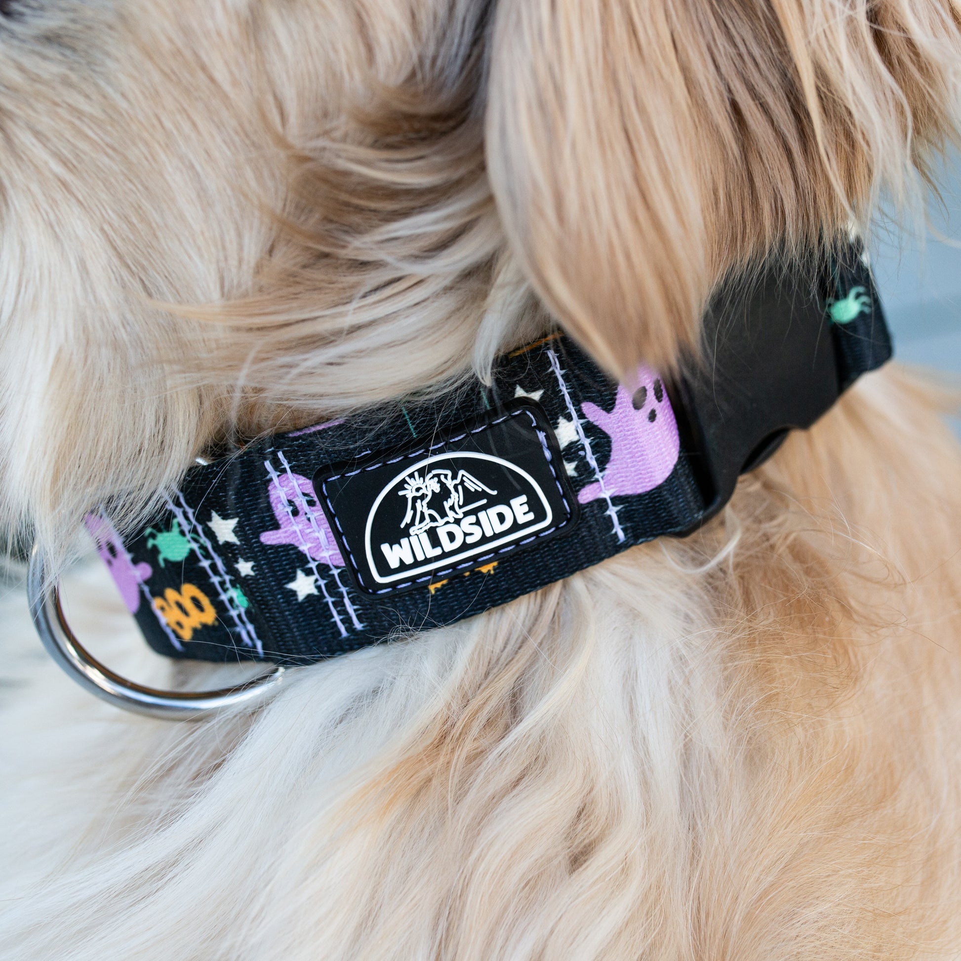 Ghost-themed spooky dog collar with stars and spiders