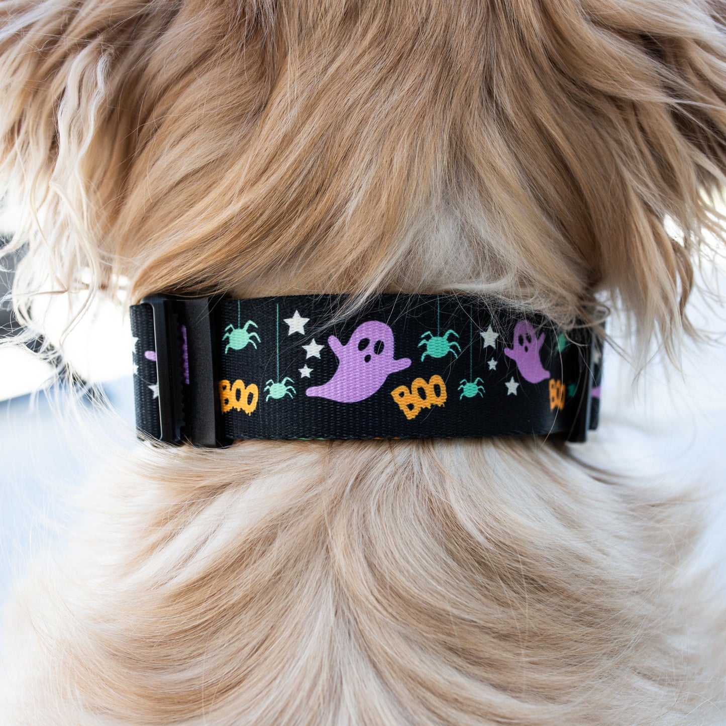 Cute ghost and spider print collar for dogs, Wildside logo