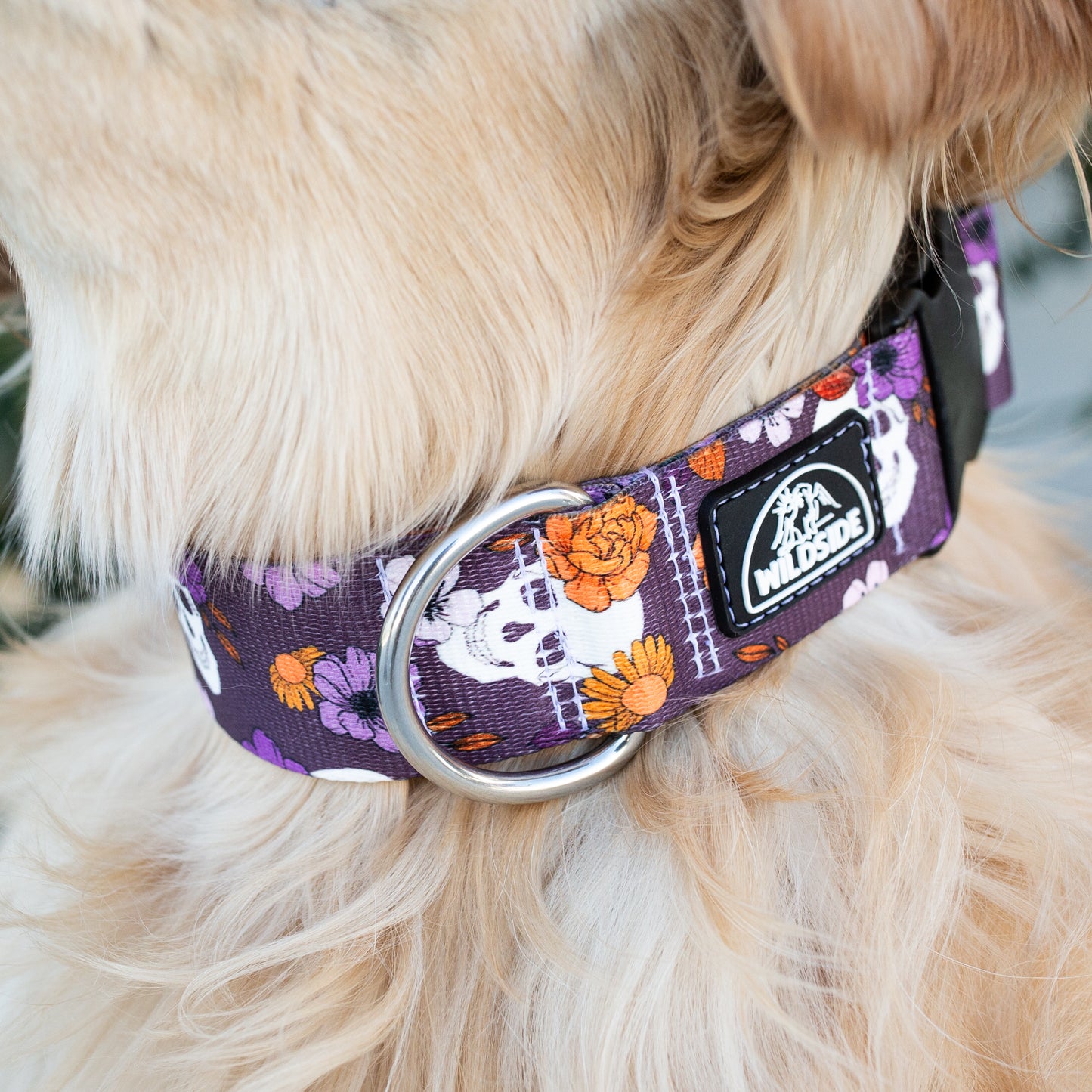 Cute spooky dog collar with purple background and orange florals