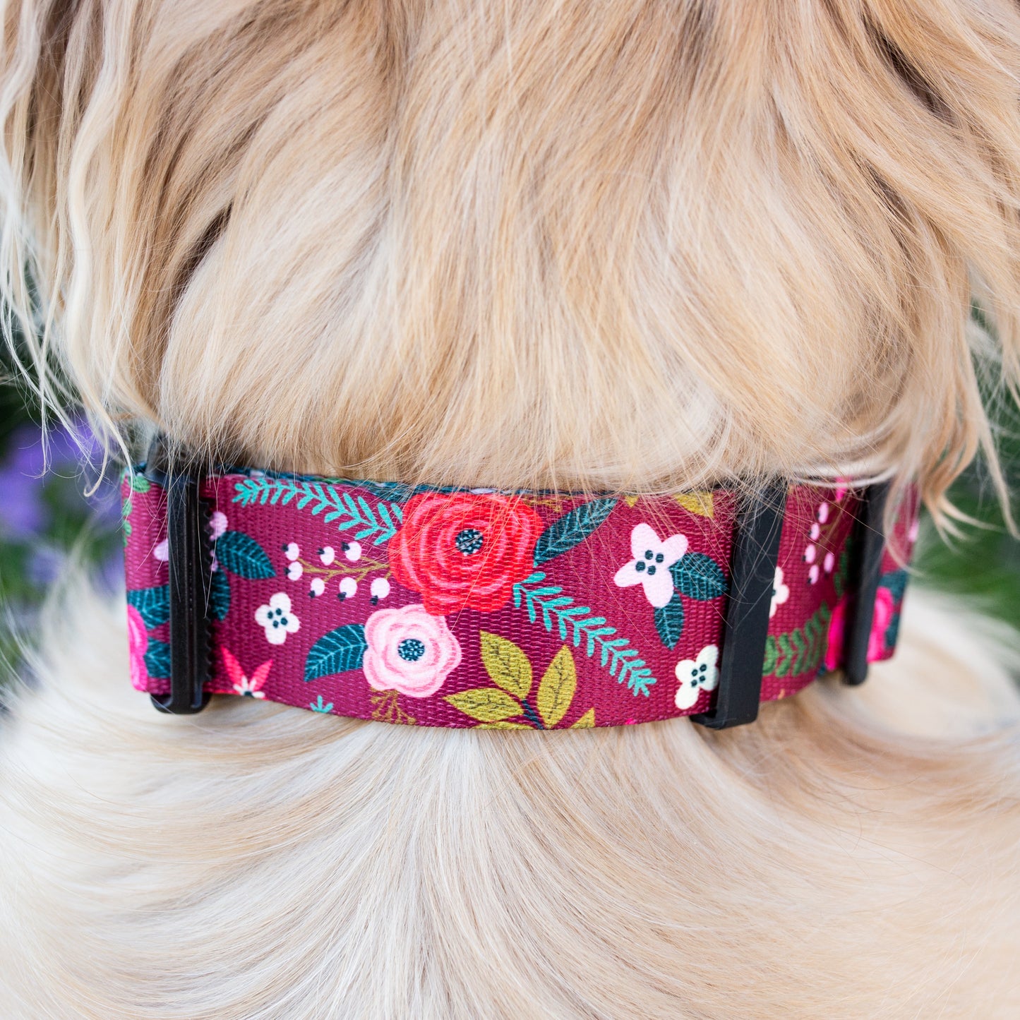 Autumn Blossom Rust Proof Dog Collar Dog Collar (Story Flash Sale)