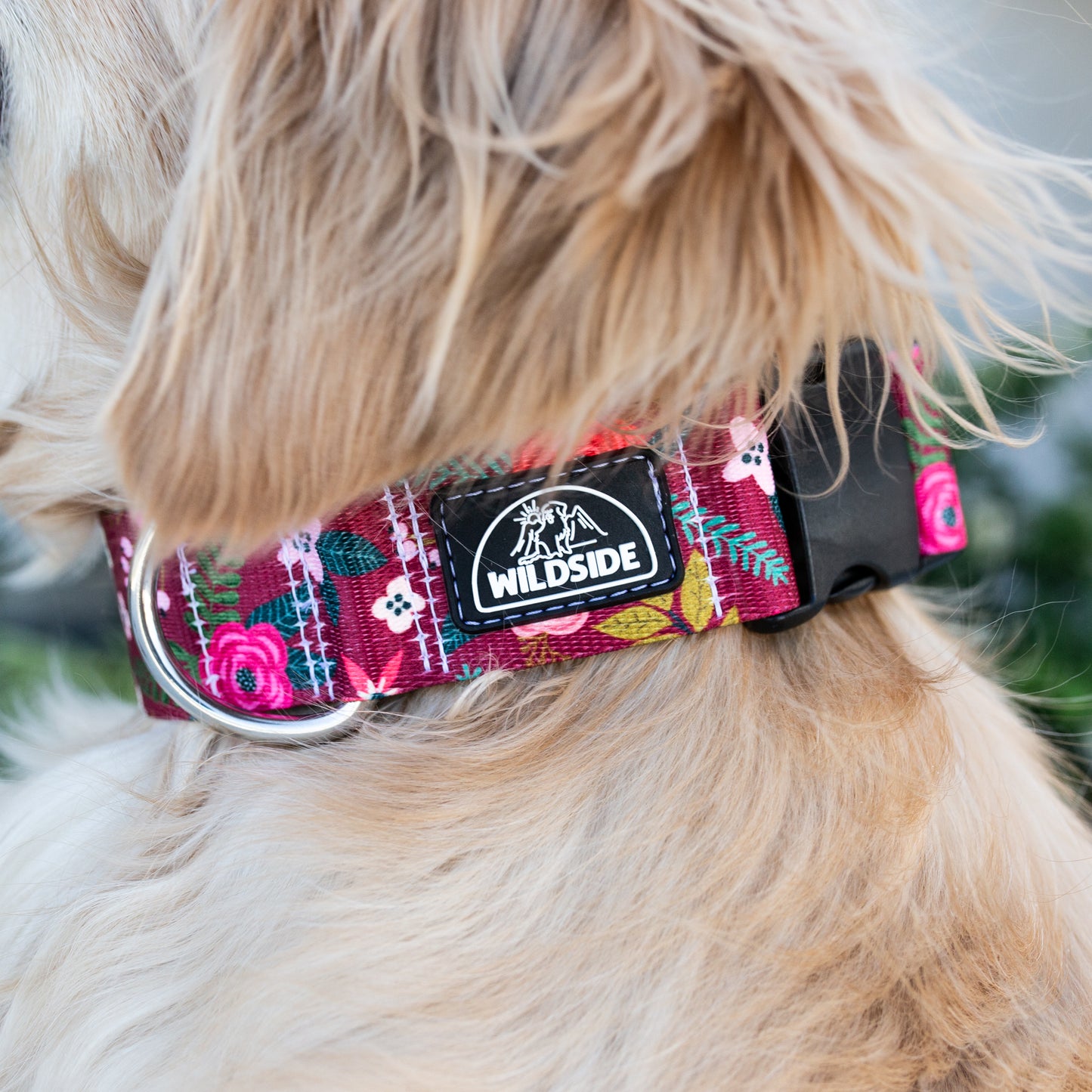 Autumn Blossom Rust Proof Dog Collar Dog Collar (Story Flash Sale)