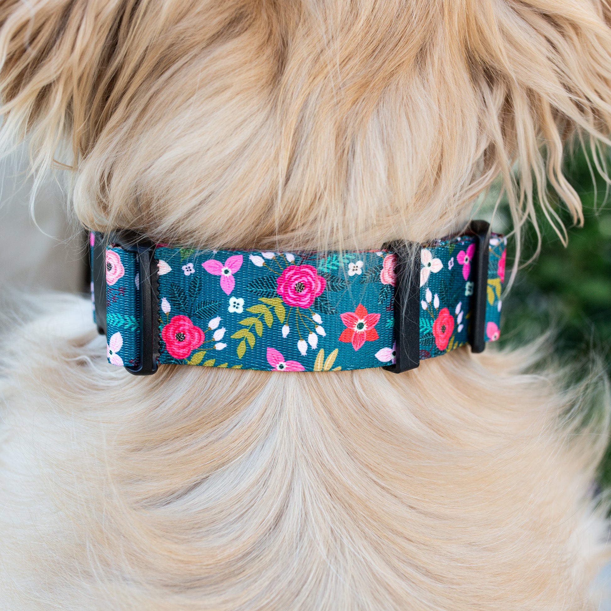 Evergreen Flora floral dog collar by Wildside