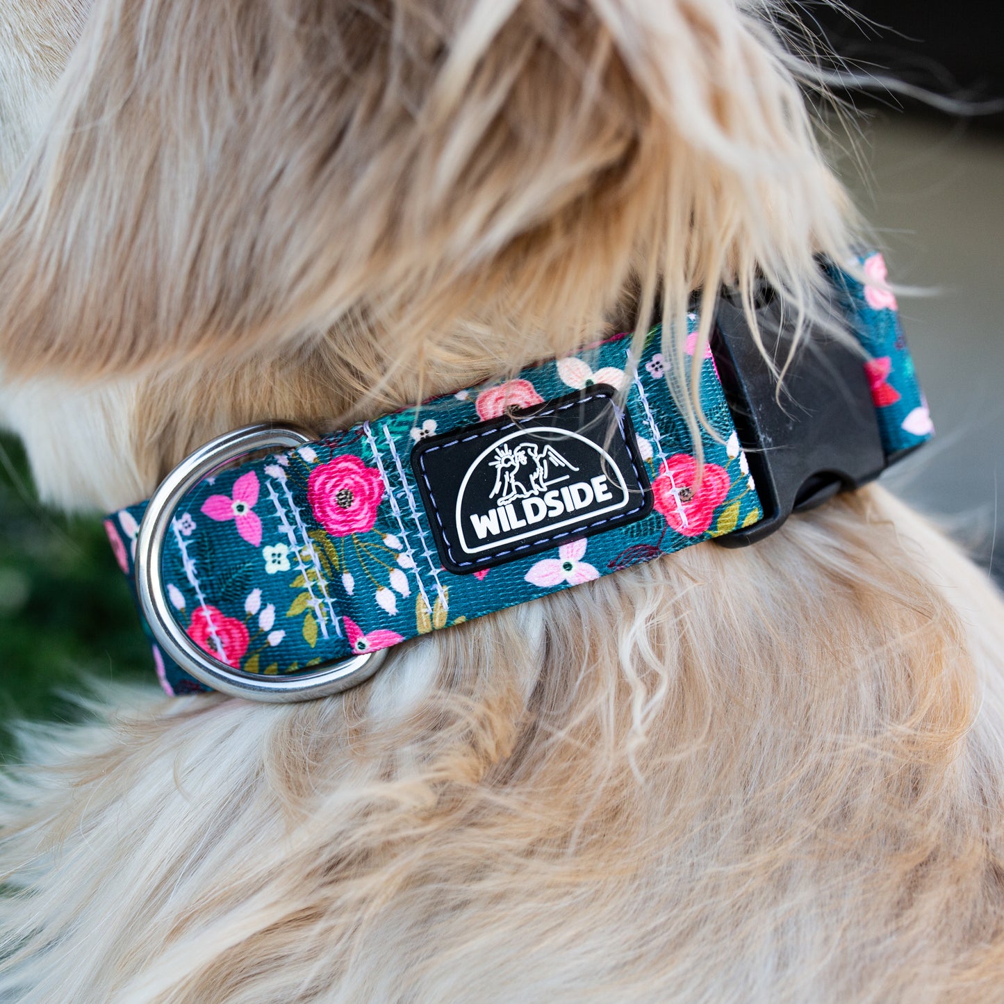 Evergreen Flora Rust Proof Dog Collar Dog Collar