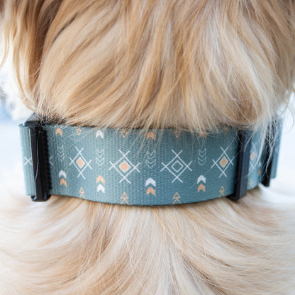 Sage Sunset Rust Proof Dog Collar Dog Collar