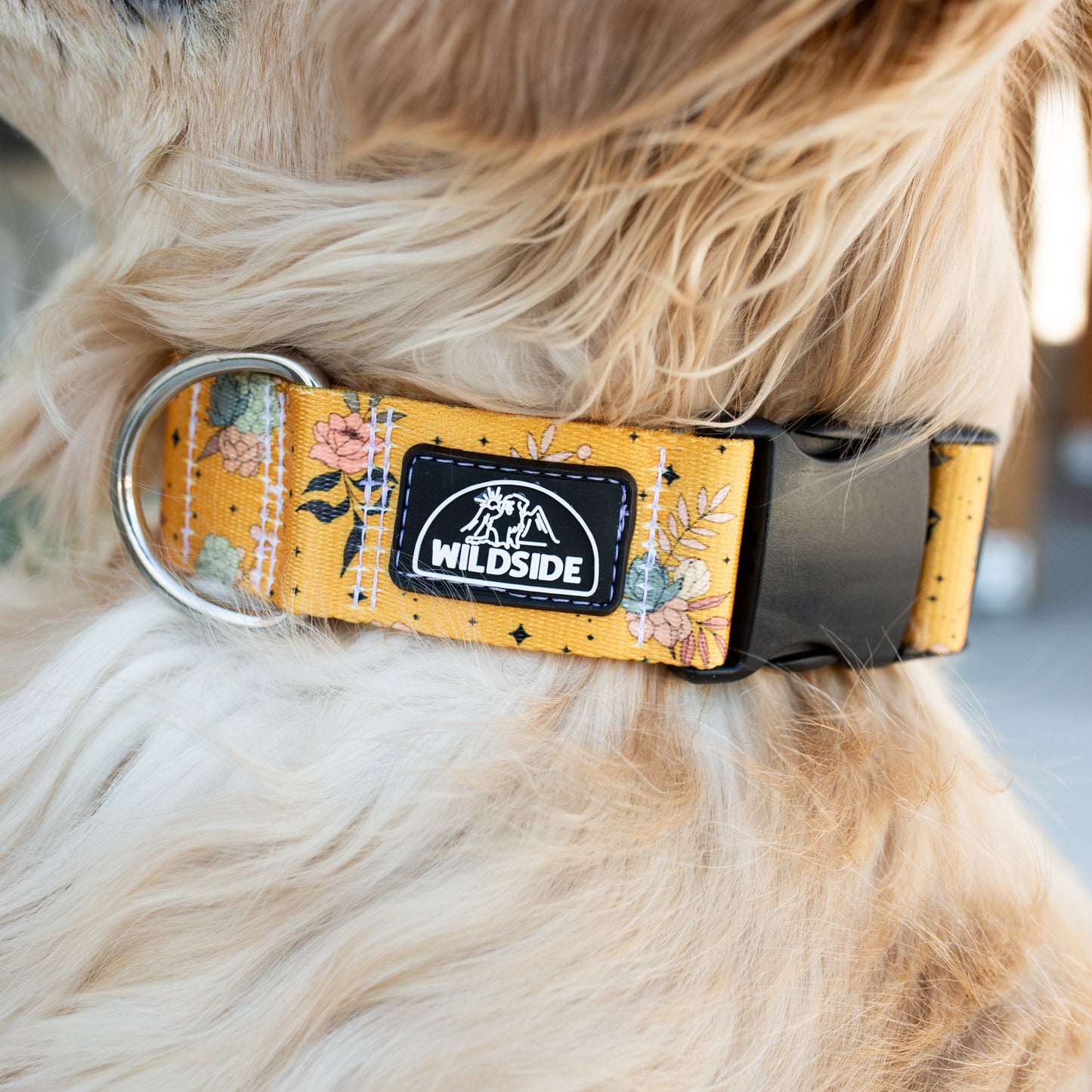 Rust-proof floral dog collar in golden yellow with Wildside logo