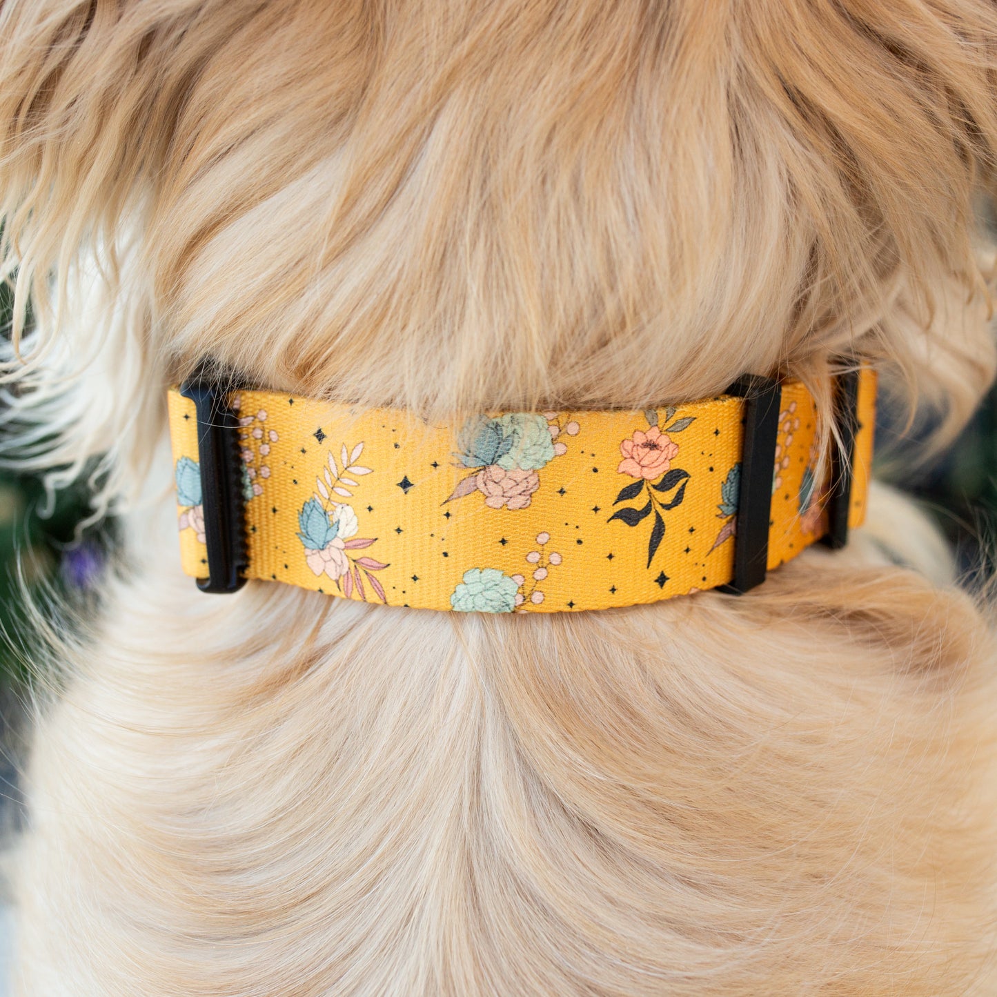 Golden Hour Collar – durable adjustable dog collar with fall florals