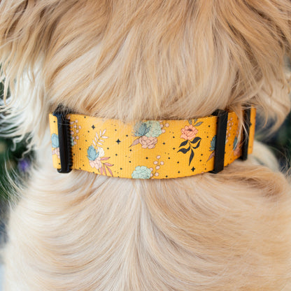 Golden Hour Dog Collar + Leash Set — Adventure-Proof