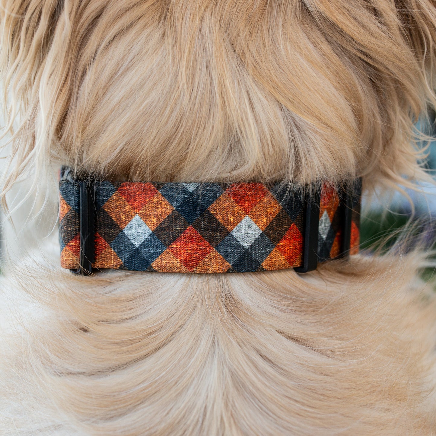 Fireside Flannel  Rust Proof Dog Collar