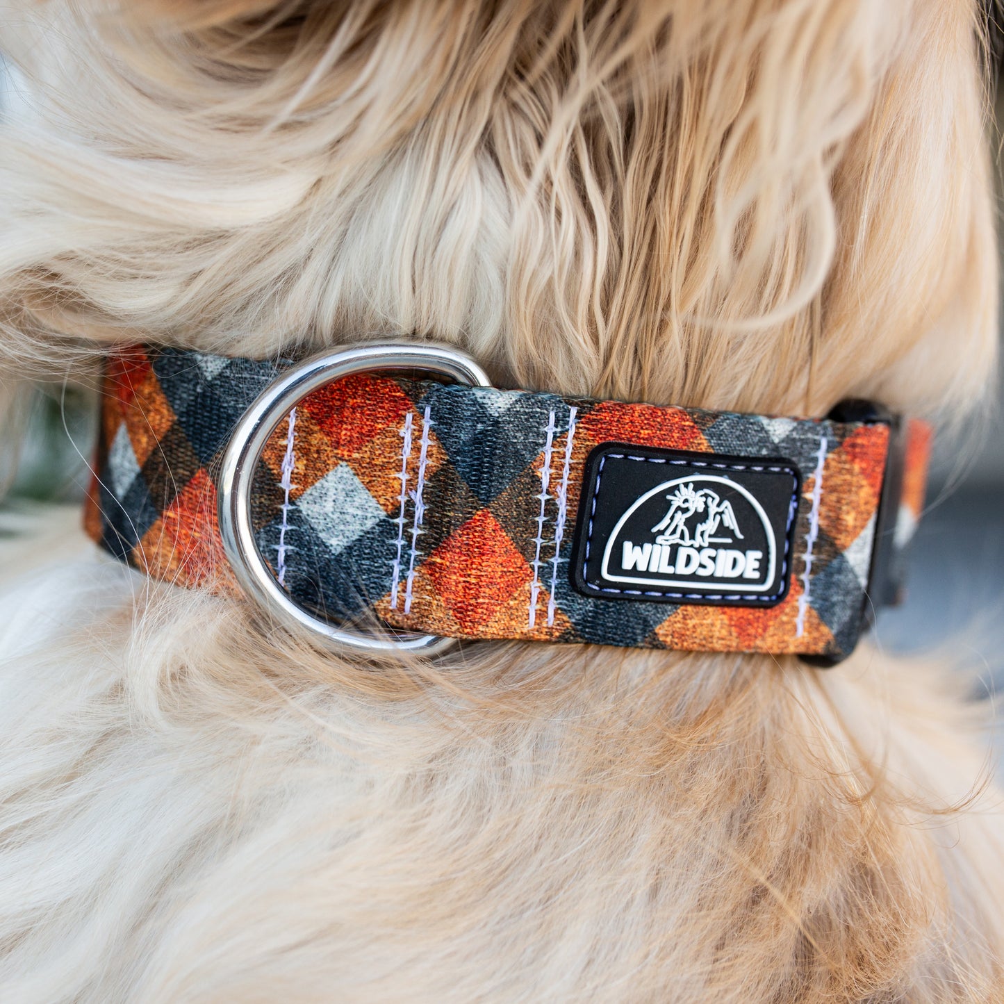 Fireside Flannel  Rust Proof Dog Collar