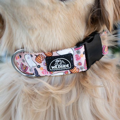 Cutie Pie Ghost Dog Collar + Leash Set — Adventure-Proof
