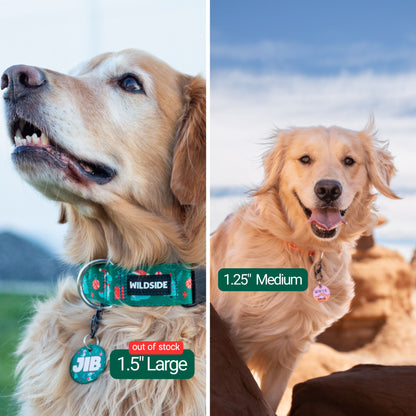 Sweet Teddy Bear Custom Dog ID Tag