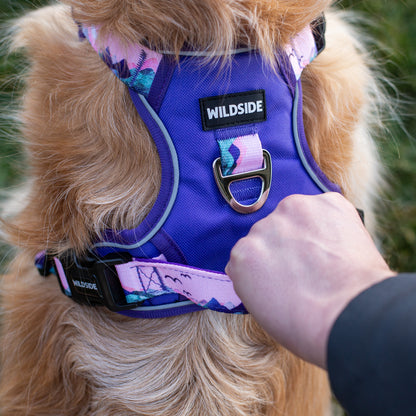 Mt. Milly Dog Durable Harness & Leash Set