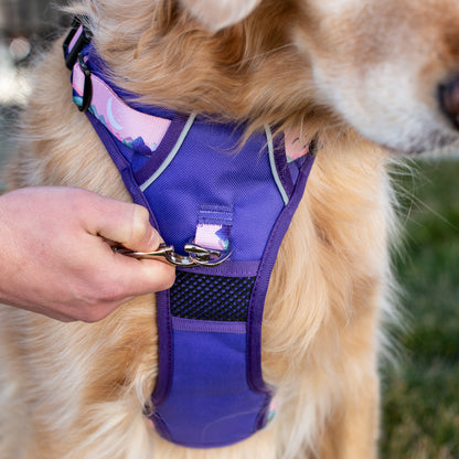 Mt. Milly Dog Durable Harness & Leash Set