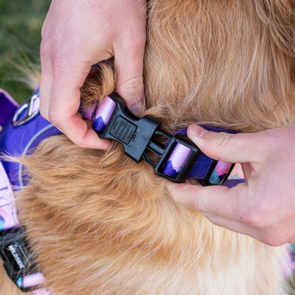 Mt. Milly Dog Durable Harness & Leash Set