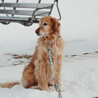 Blue Yeti Dog Collar and Leash Set (Rust Proof )