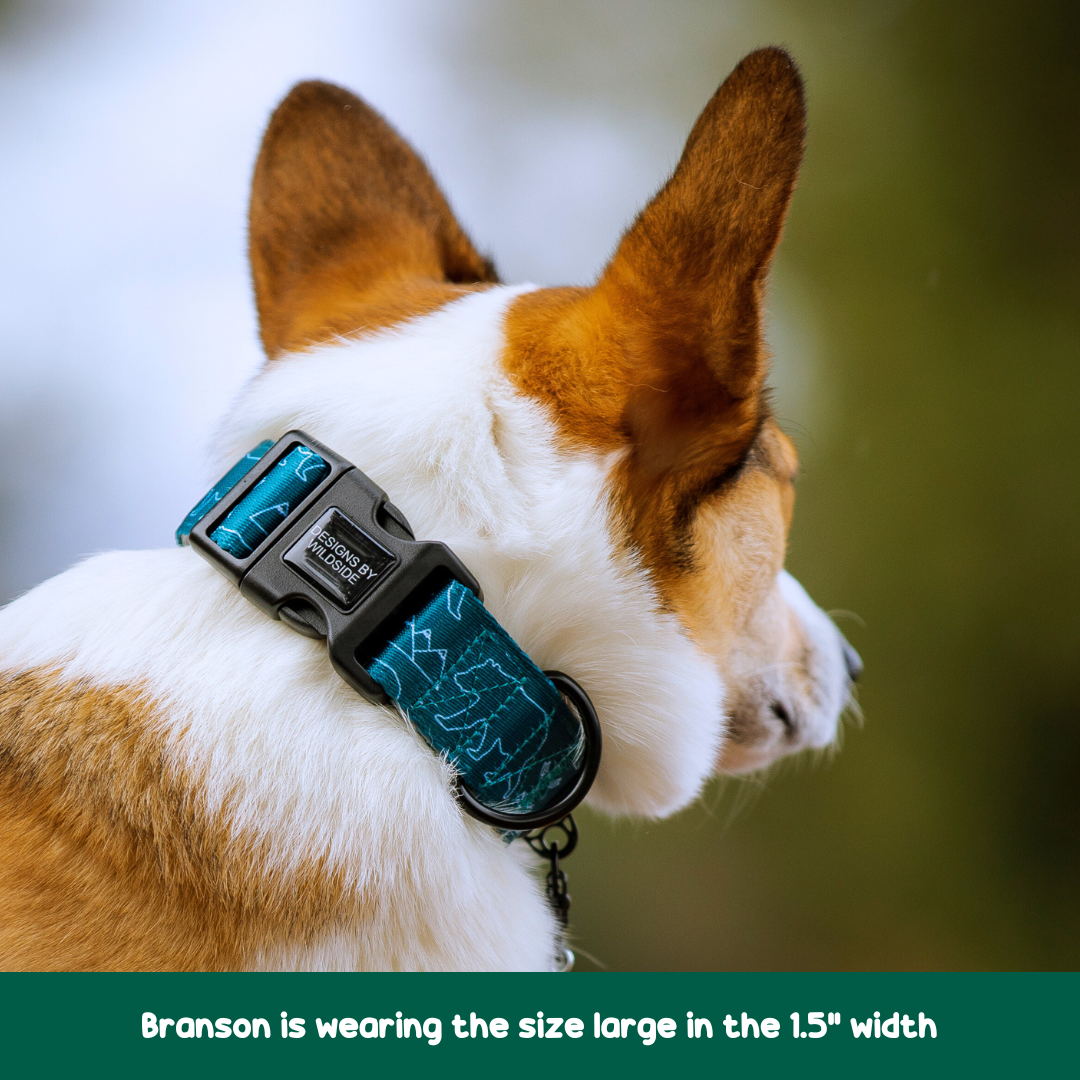 dog collar loop dog collar reviews dog collar reddit dog collar that tightens dog collar irritation dog collar 16 inch dog collar 1 inch dog collar 13 neck