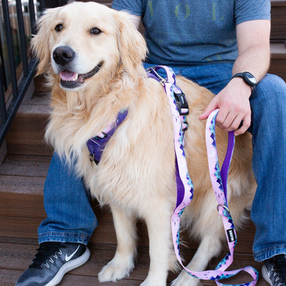 Mt. Milly Double Handle Dog Leash