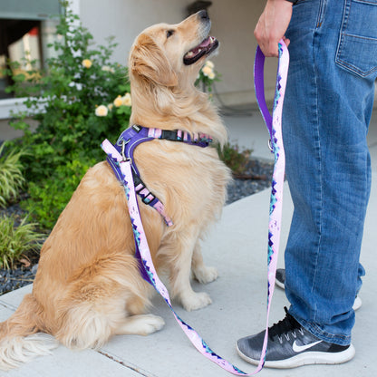 Mt. Milly Double Handle Dog Leash