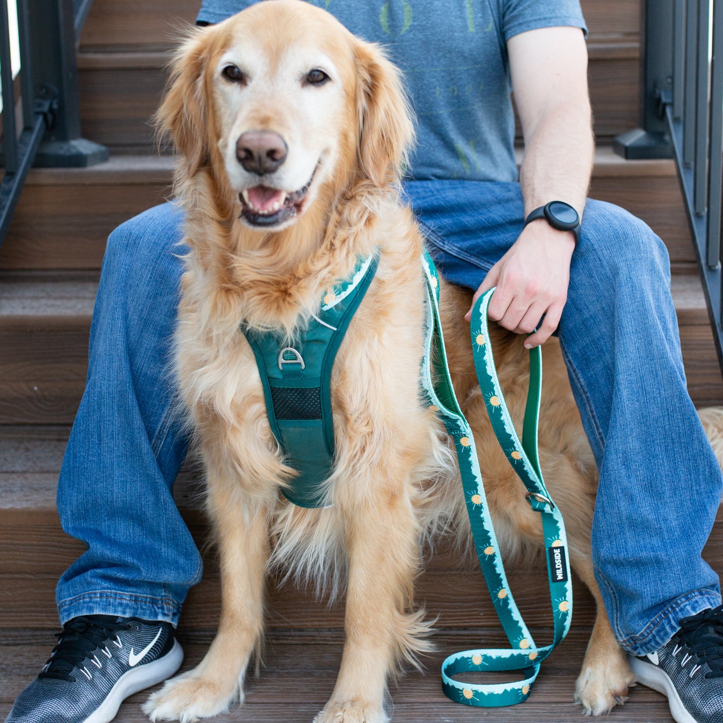 Tahoma Peak Collar and Leash Set | Adventure Walk Set