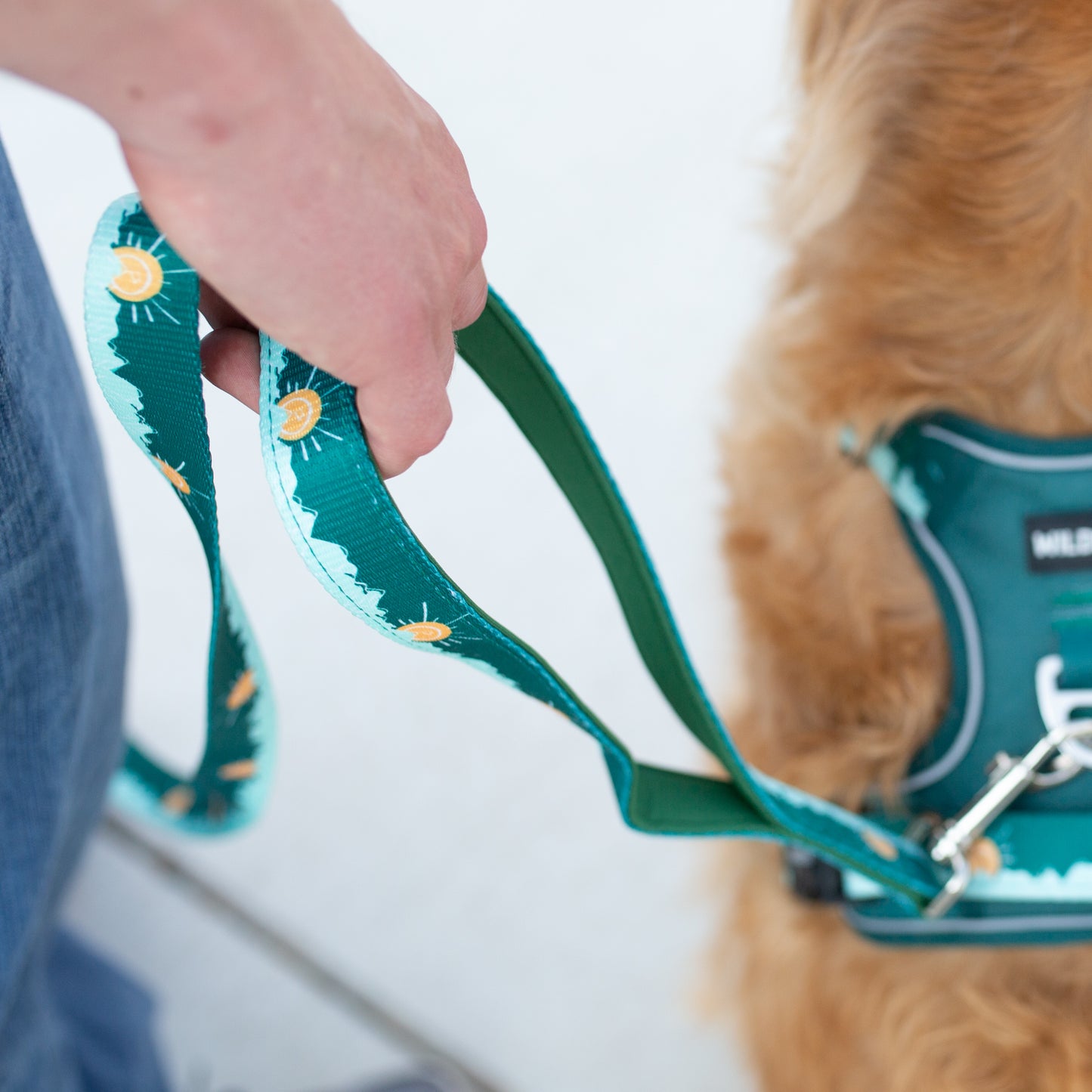 Tahoma Peak Collar and Leash Set | Adventure Walk Set