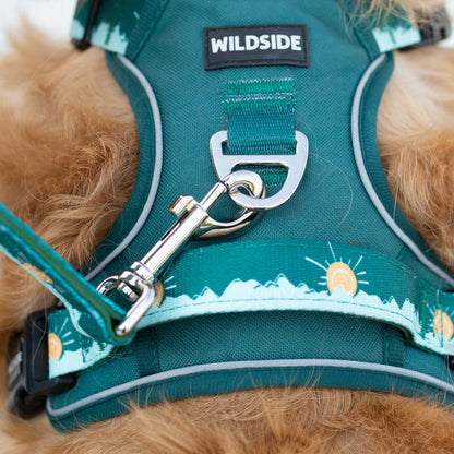 Tahoma Peak Collar and Leash Set | Adventure Walk Set