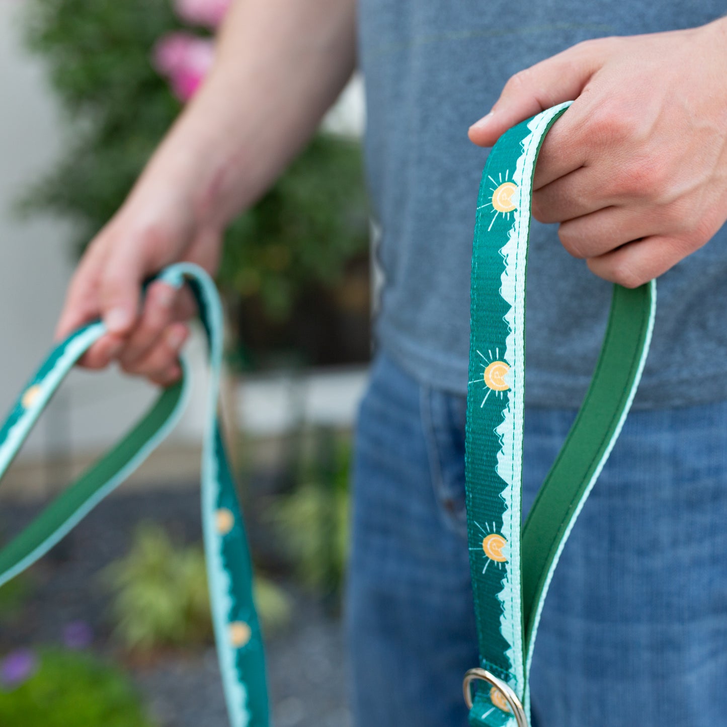 Tahoma Peak Collar and Leash Set | Adventure Walk Set