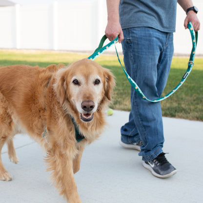 Tahoma Peak 6ft Padded Double Handle Dog Leash