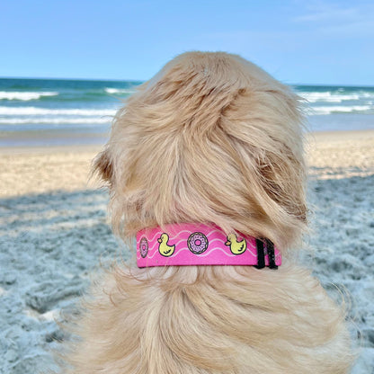 Dog on a beach wearing a pink collar with duck designs.